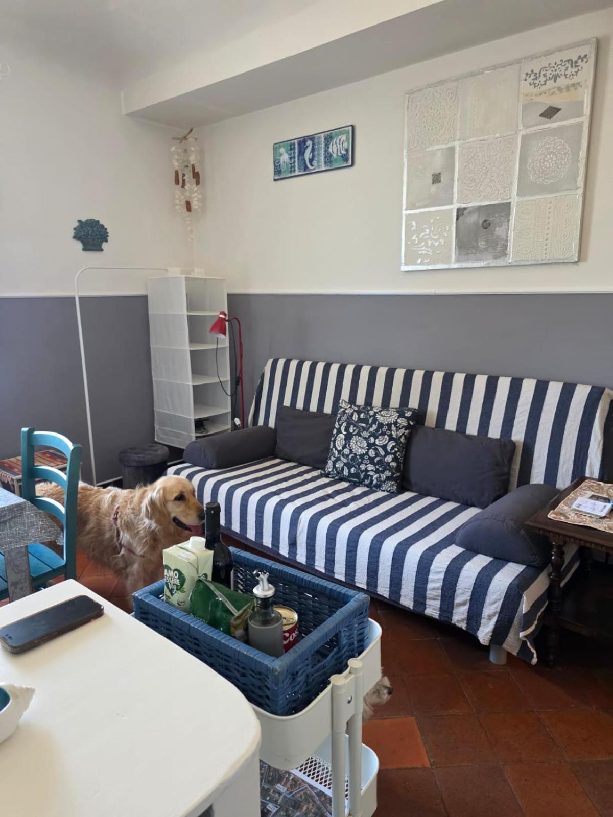 The Shell - New Interior Look But Same Old Charme 200Mt From The Sea With Garden And Parking Nearby Apartment Imperia Exterior foto