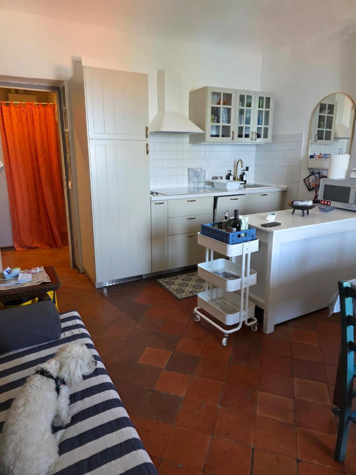 The Shell - New Interior Look But Same Old Charme 200Mt From The Sea With Garden And Parking Nearby Apartment Imperia Exterior foto
